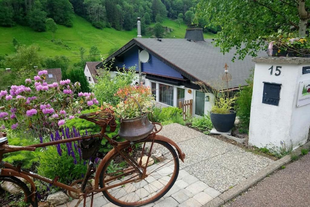 Ferienwohnung Schog Тодтнау Экстерьер фото