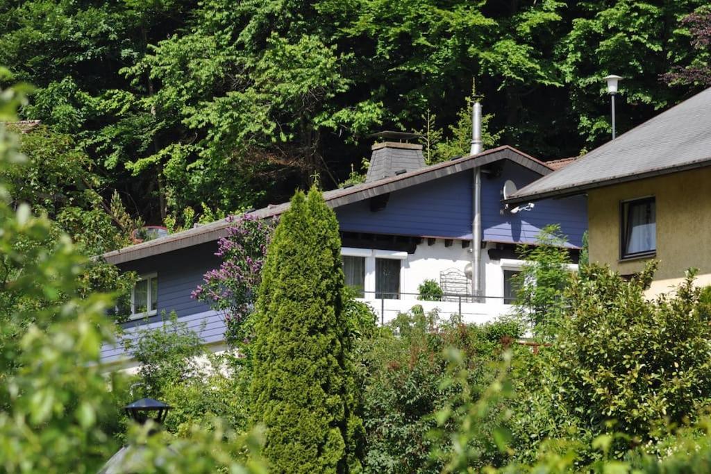 Ferienwohnung Schog Тодтнау Экстерьер фото